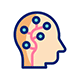 Neurological Examination