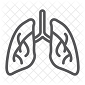 vector image of lungs with veins